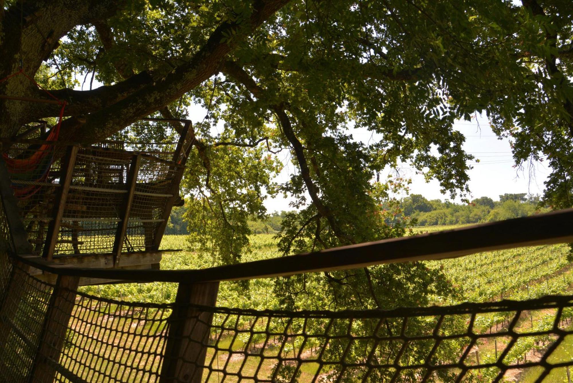 Cabanes De La Romaningue Pompignac 外观 照片